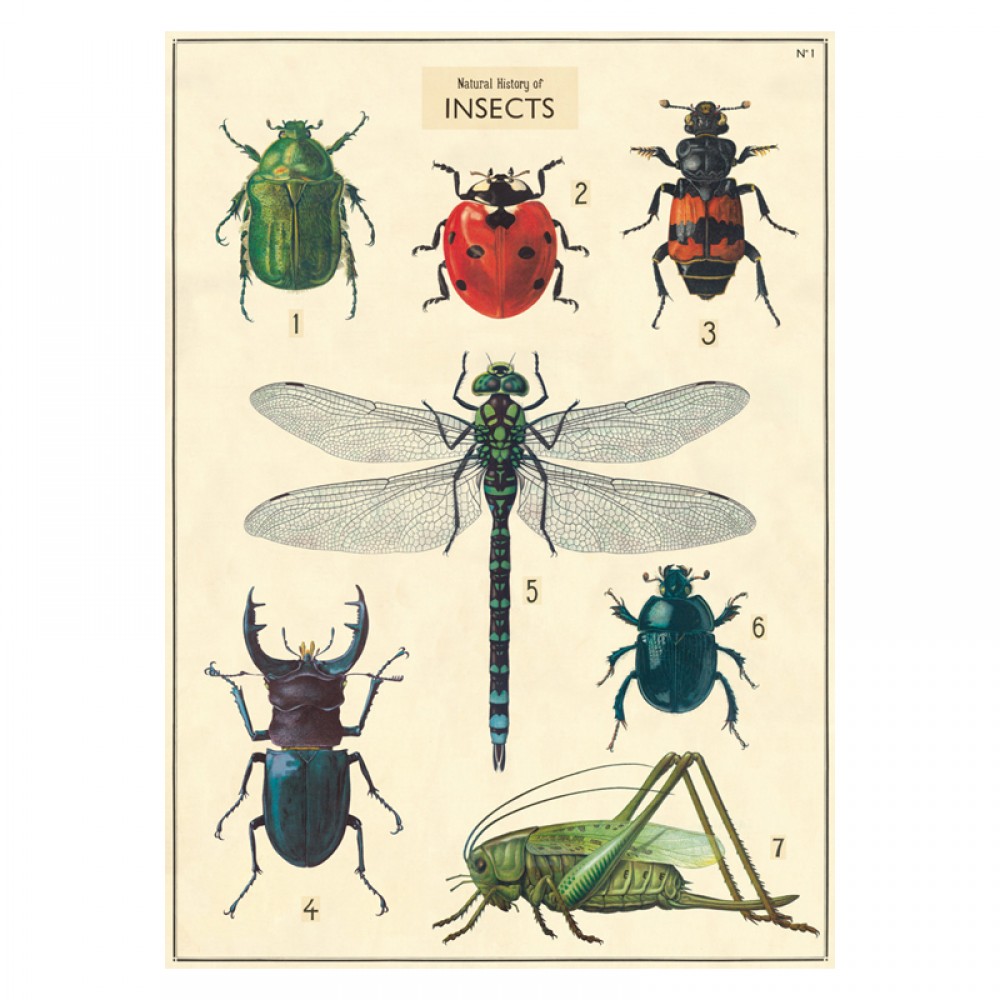 Flot vintage plakat med insekter pris Se