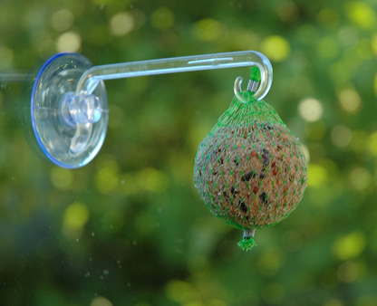 Fuglefoder - Smart sugekop til vindue. Hurtig levering